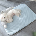 Pet Cooling Mat Silk Top Plush Padding
