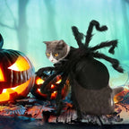 Pet Costume Spider Design Soft Felt & Bendable Legs