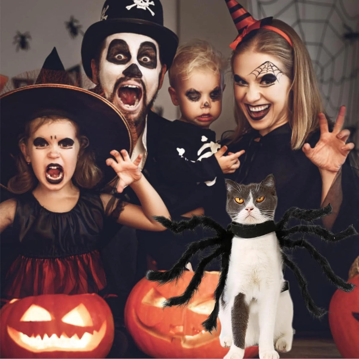 Pet Costume Spider Design Soft Felt & Bendable Legs