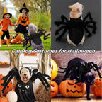 Pet Costume Spider Design Soft Felt & Bendable Legs