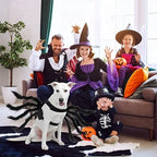Pet Costume Spider Silhouette Breathable Polyester Adjustable Straps