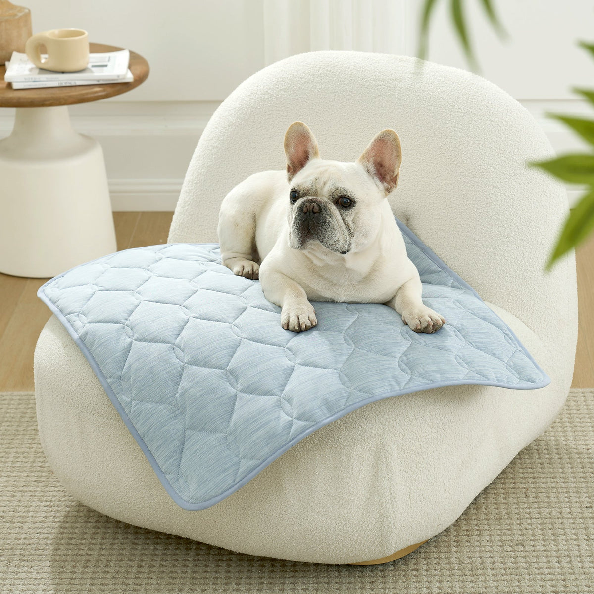 Pet Couch Cover Scratch-Proof Nylon Leakproof Cooling