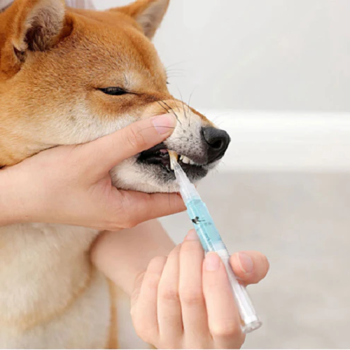 Pet Dental Gel Enzymatic Aloe Vera & Mint