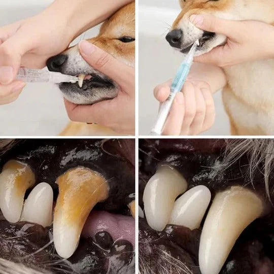 Pet Dental Gel Gentle Buildup Removal Dogs & Cats