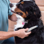 Pet Detangling Tool Gentle Blade For Cats & Dogs