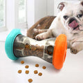 Pet Feeder Interactive Slow-Feed Kibble Dispenser