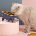 Pet Feeding Bowl Ergonomic 15° Tilt Anti-Tip