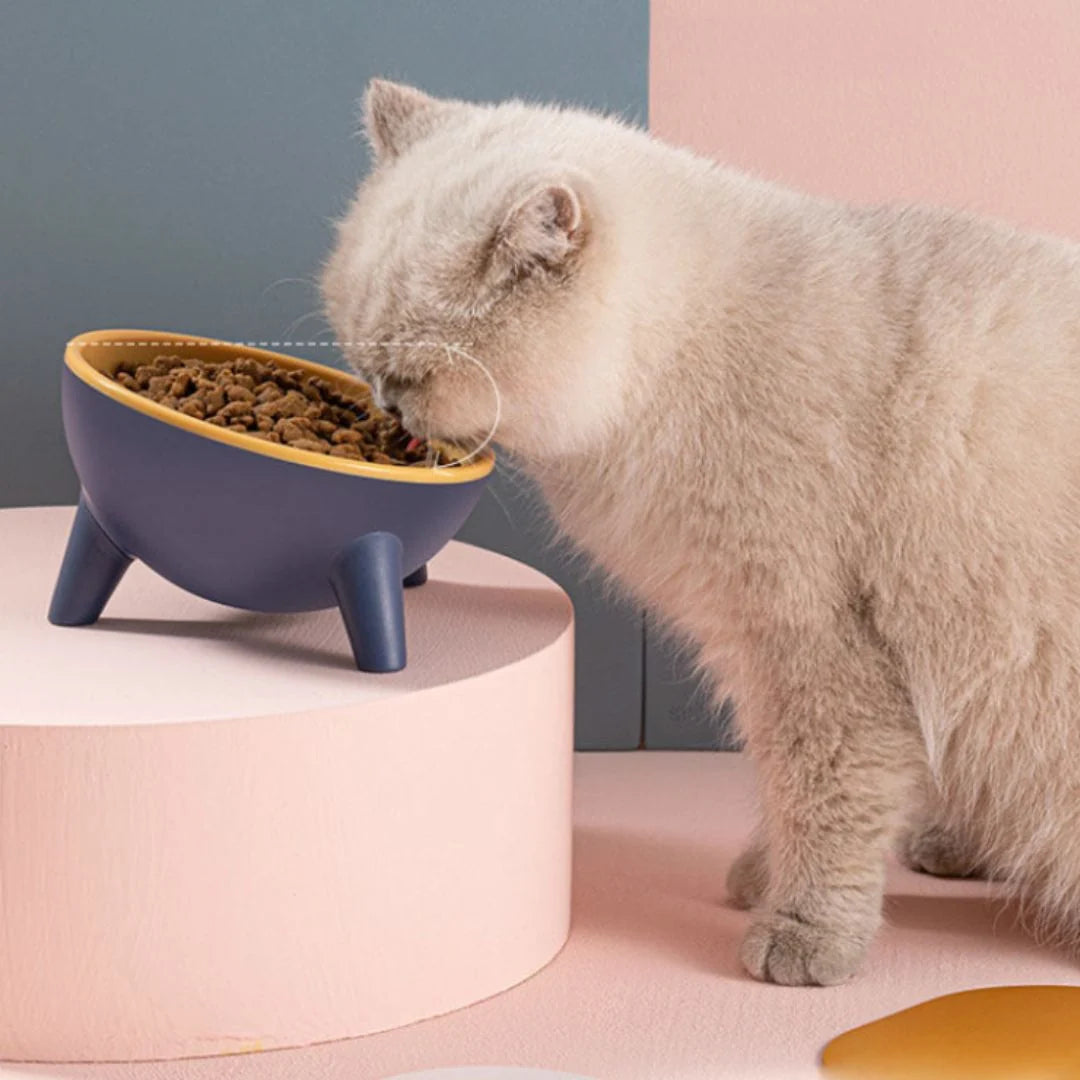Pet Feeding Bowl Ergonomic 15° Tilt Anti-Tip