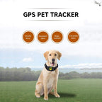 Pet GPS Collar Real-Time Tracking & Geo-Fence Alerts