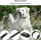 Pet GPS Collar Real-Time Tracking & Geo-Fence Alerts