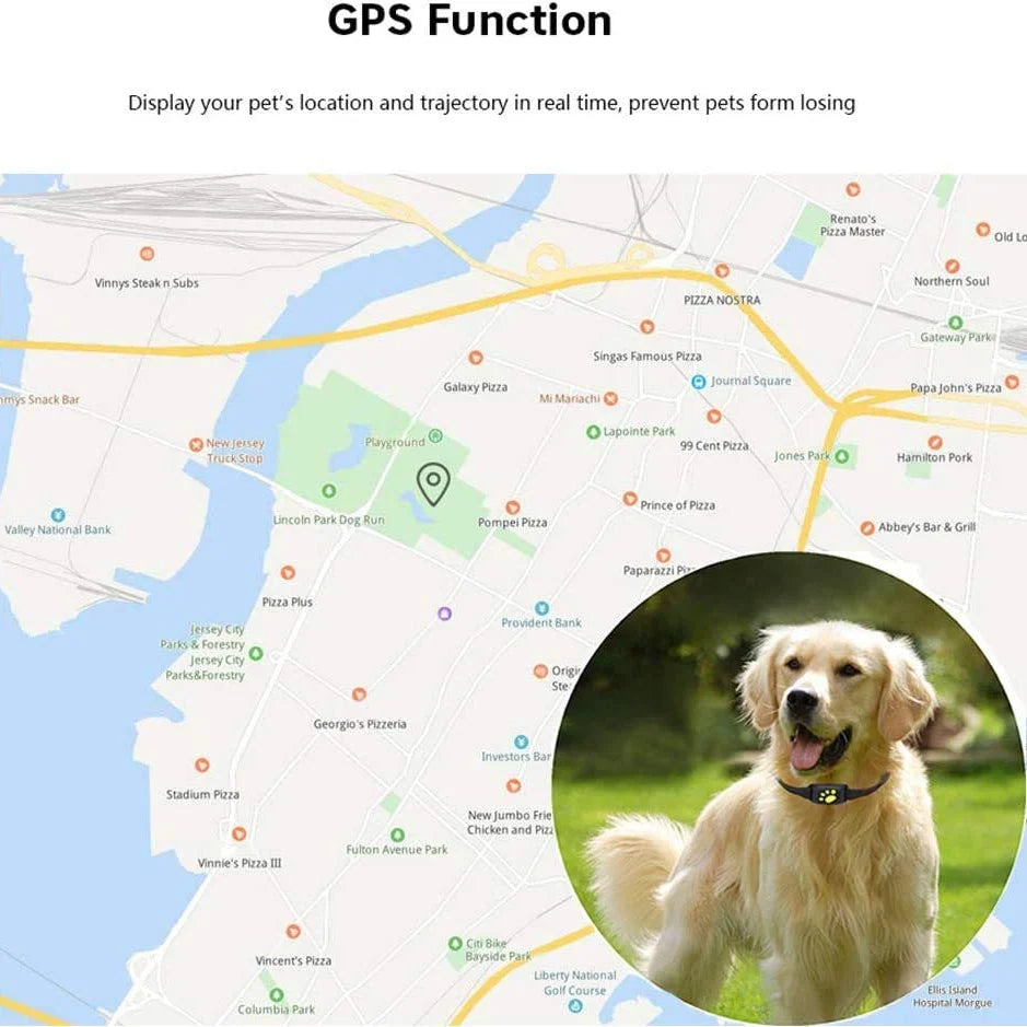 Pet GPS Collar Real-Time Tracking & Geo-Fence Alerts