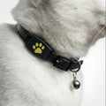 Pet GPS Tracker Ultra-Light Rechargeable Real-Time App