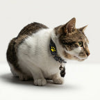 Pet GPS Tracker Ultra-Light Rechargeable Real-Time App