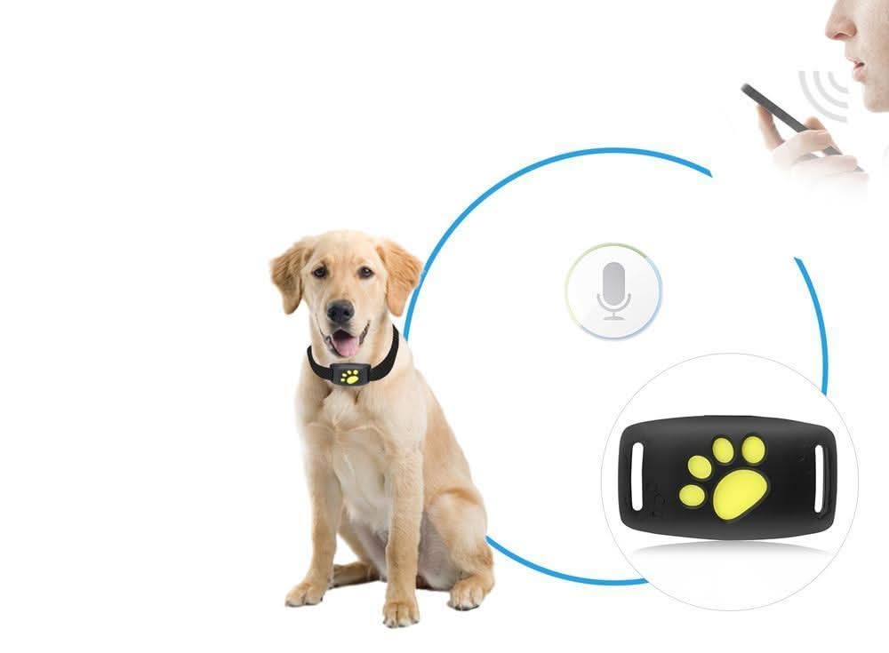 Pet GPS Tracker Ultra-Light Rechargeable Real-Time App
