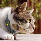 Pet GPS Tracker Ultra-Light Rechargeable Real-Time App