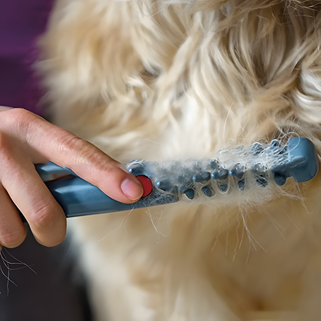 Pet Grooming Brush Gentle Glide Stainless Steel Teeth