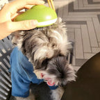 Pet Grooming Brush One-Click Clean For Cats & Dogs