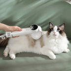 Pet Hair Dryer 2-In-1 Slicker Brush & Digital Display