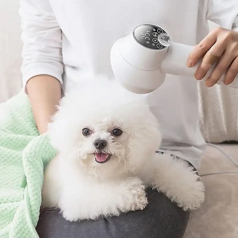 Pet Hair Dryer 2-In-1 Slicker Brush & Digital Display