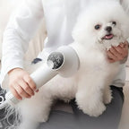Pet Hair Dryer 2-In-1 Slicker Brush & Digital Display