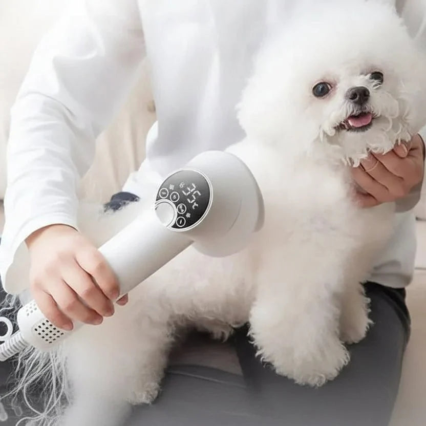 Pet Hair Dryer 2-In-1 Slicker Brush & Digital Display