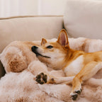 Pet Mat Plush Calming Non-Slip Machine-Washable