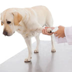 Pet Nail Grinder Low Noise & Vibration USB Rechargeable