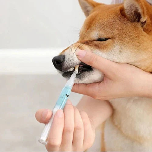 Pet Oral Care Solution Targeted Buildup Cleaning Gentle Formula