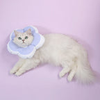 Pet Recovery Collar Soft Waterproof & Adjustable Fit
