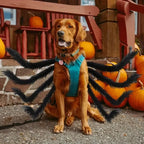 Pet Spider Costume Realistic Faux Legs Adjustable Straps