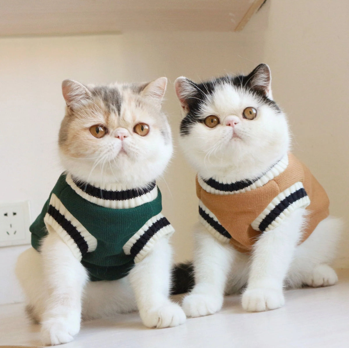 Pet Sweater Vest Fleece Sleeveless College Style