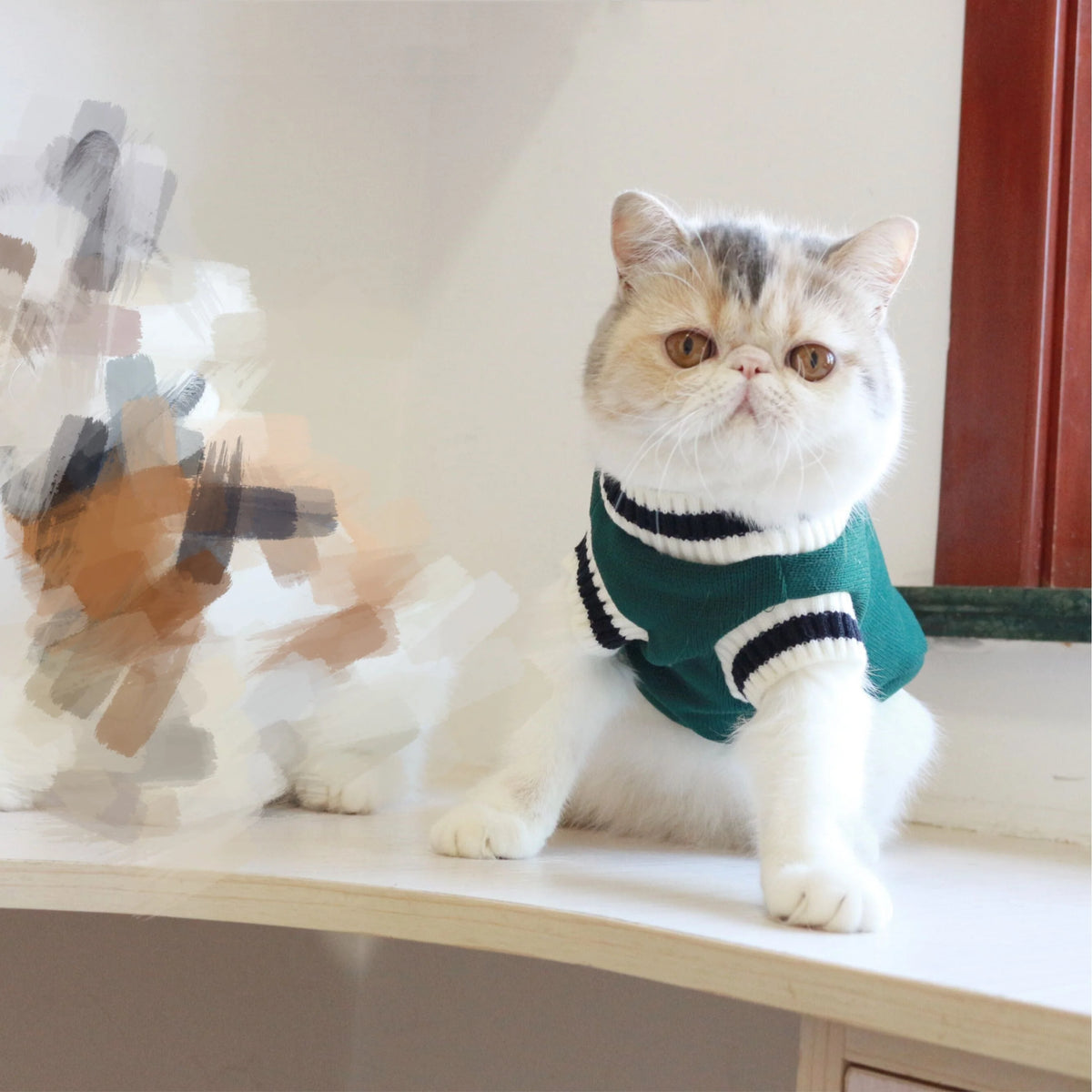 Pet Sweater Vest Fleece Sleeveless College Style