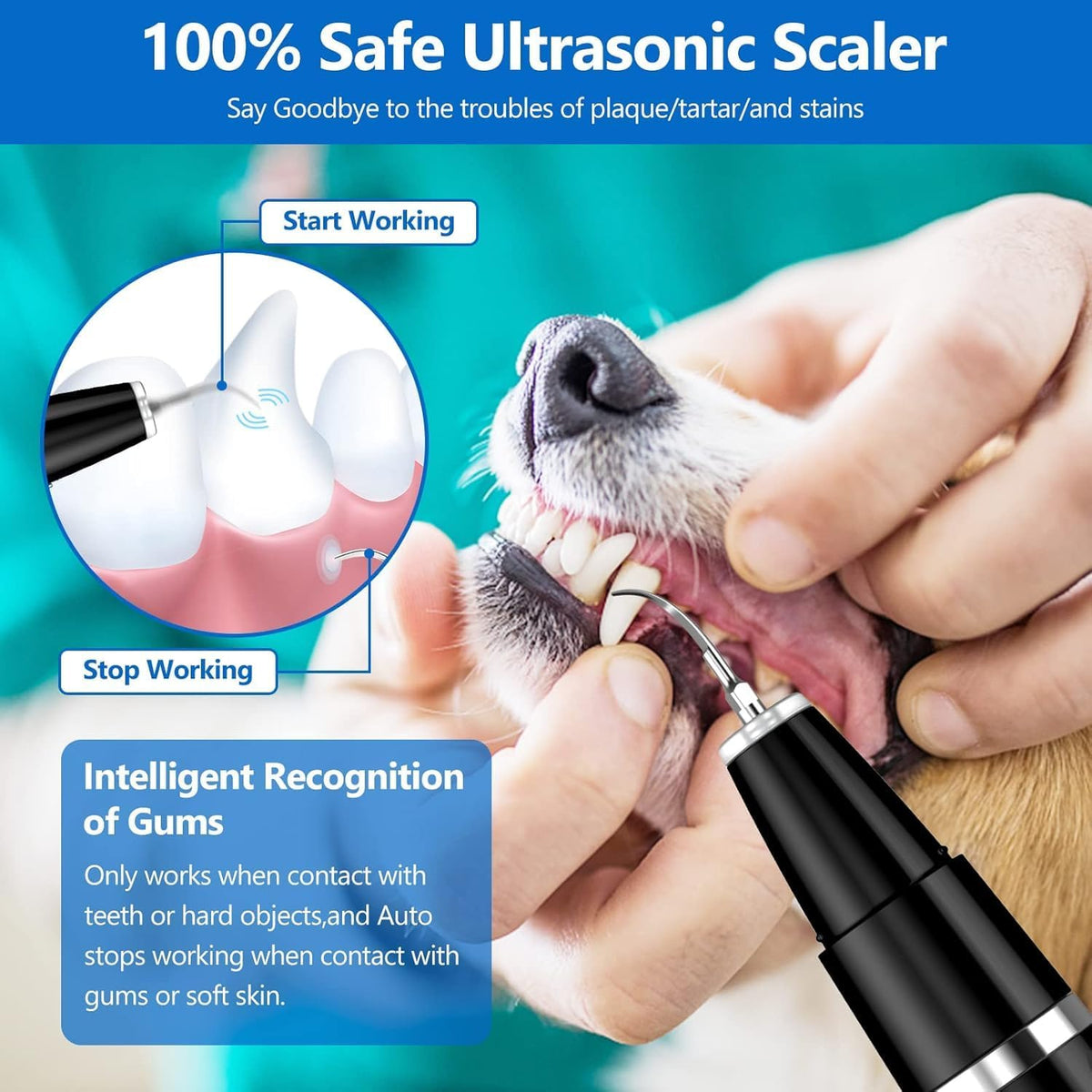 Pet Tooth Cleaner Ultrasonic Rechargeable Tartar & Plaque Removal