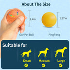 Pet Toy Remote-Controlled Durable Silicone No Batteries Needed