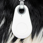 Pet Tracker Bluetooth Real-Time Location 6-Month Battery