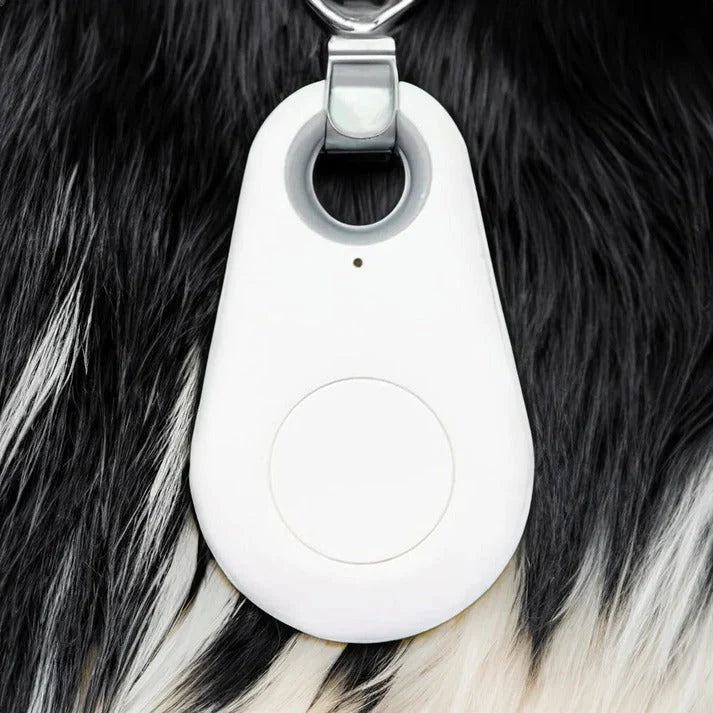 Pet Tracker Bluetooth Real-Time Location 6-Month Battery