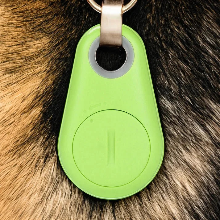 Pet Tracker Bluetooth Real-Time Location 6-Month Battery