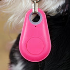 Pet Tracker Bluetooth Real-Time Location 6-Month Battery