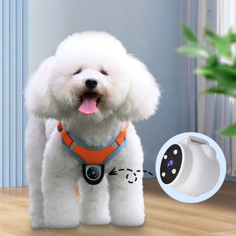Pet Tracker Collar 170 Degree Camera Real-Time GPS