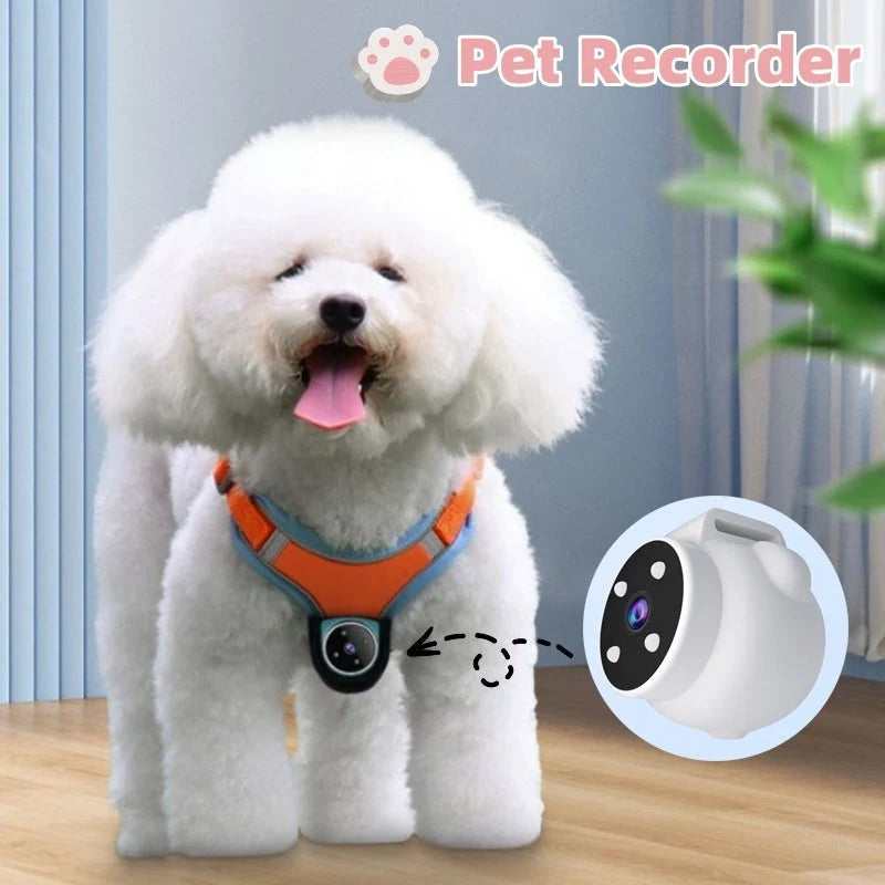 Pet Tracker Collar 170 Degree Camera Real-Time GPS