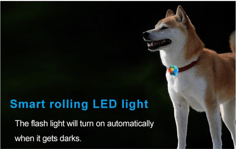 Pet Tracker GPS 33-Foot Accuracy 800-Hour Battery