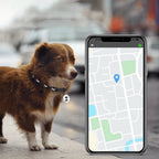 Pet Tracker Real-Time GPS & Bluetooth Waterproof