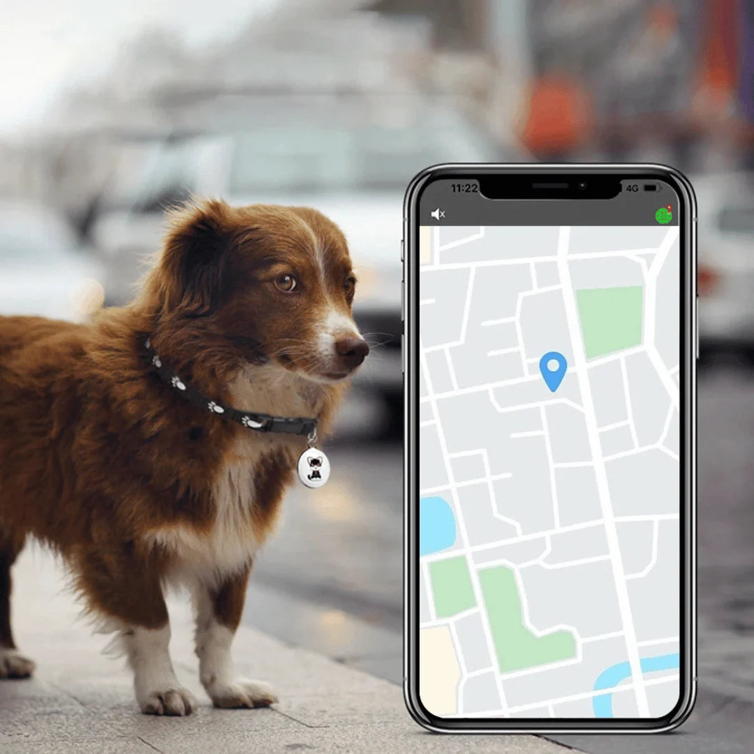Pet Tracker Real-Time GPS & Bluetooth Waterproof