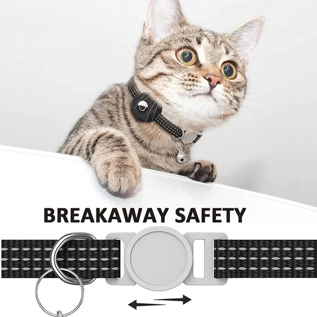 Pet Tracker Reflective Collar No Subscription 8-10 Months Battery