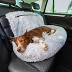 Pet Travel Bed 2-in-1 Memory Foam Removable & Machine-Washable Cover