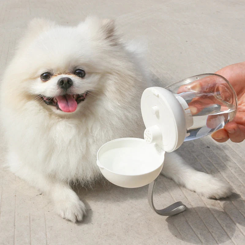 Pet Travel Bowl Foldable Heat-Resistant Plastic 300 ml