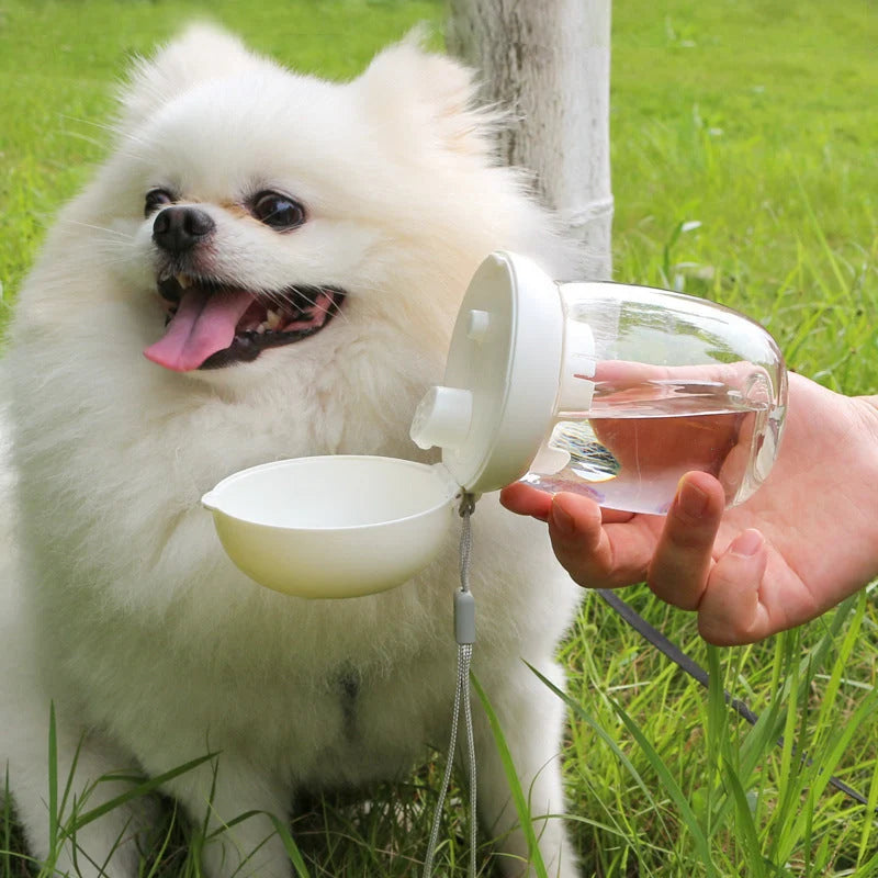 Pet Travel Bowl Foldable Heat-Resistant Plastic 300 ml