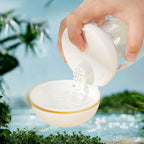 Pet Travel Bowl Foldable Heat-Resistant Plastic 300 ml