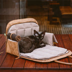 Pet Travel Carrier Expandable Breathable Seatbelt Slot