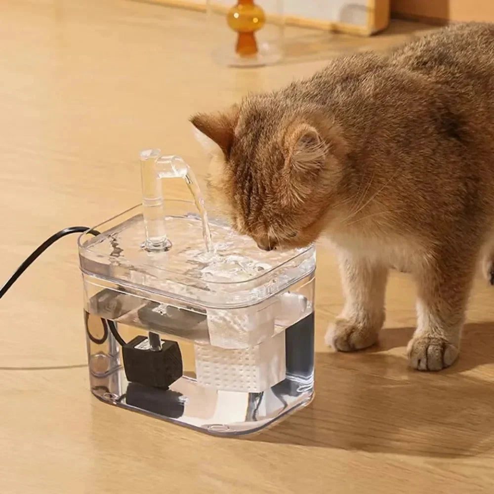 Pet Water Fountain Filtered Quiet Pump & Large Capacity